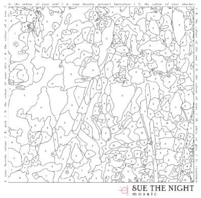 Debuutalbum Sue The Night ‘Mosaic’ komt vandaag uit!