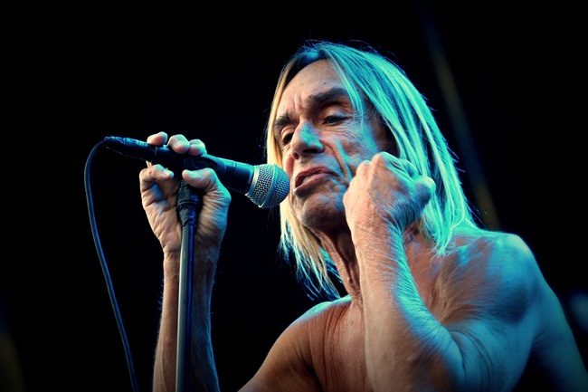 Iggy Pop op vrijdag 28 juli exclusief naar Suikerrock!