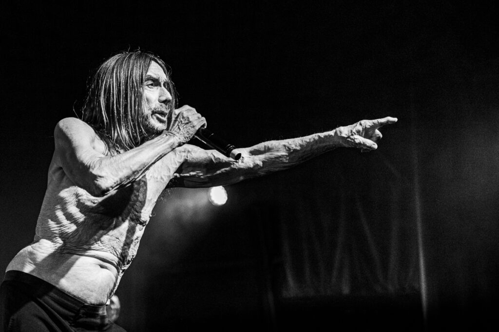 , Fotoverslag Jazz Middelheim met o.a Iggy Pop, Thurston Moore Group en Taxiwars!