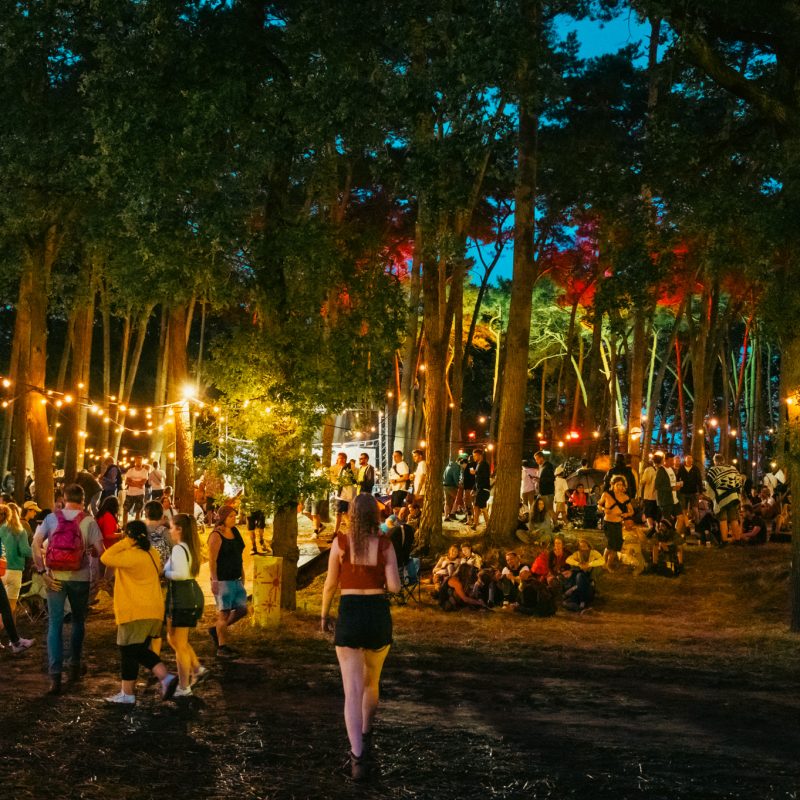 Affiche Reggae Geel 2025 is helemaal compleet!